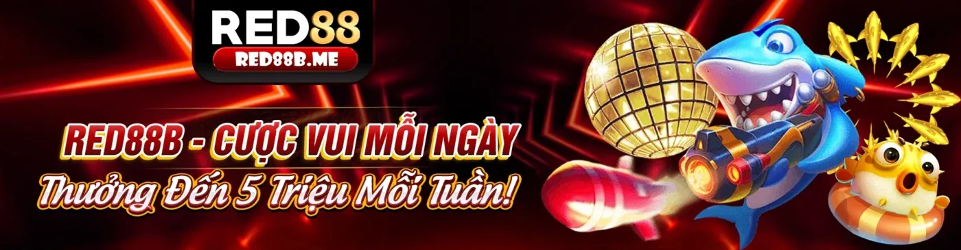 Thành viên VIP new88 live tận hưởng đặc quyền độc quyền